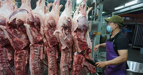 Tp.HCM: Tăng cường kiểm dịch, kiểm soát giết mổ động vật