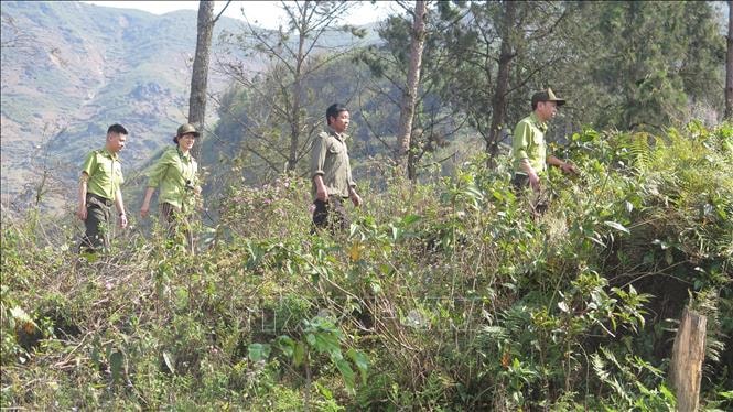 Nhiều cách làm hay phòng, chống cháy rừng mùa hanh khô