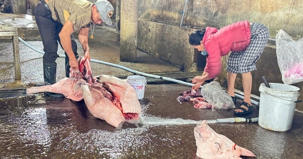 Quảng Trị phạt lò mổ gần 250 triệu đồng vì xả thải vượt chuẩn gấp 40 lần