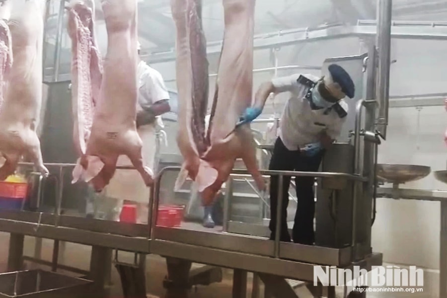 Chủ động phòng dịch từ khâu giết mổ động vật