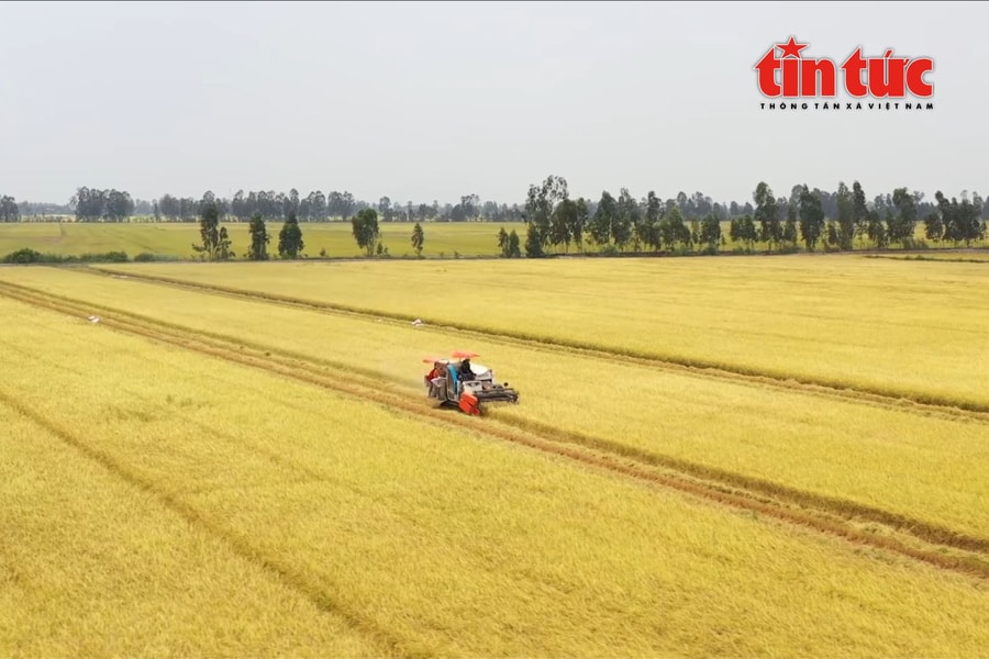 Cơ giới hóa nông nghiệp tăng tốc, mở rộng cơ hội hợp tác quốc tế tại Việt Nam