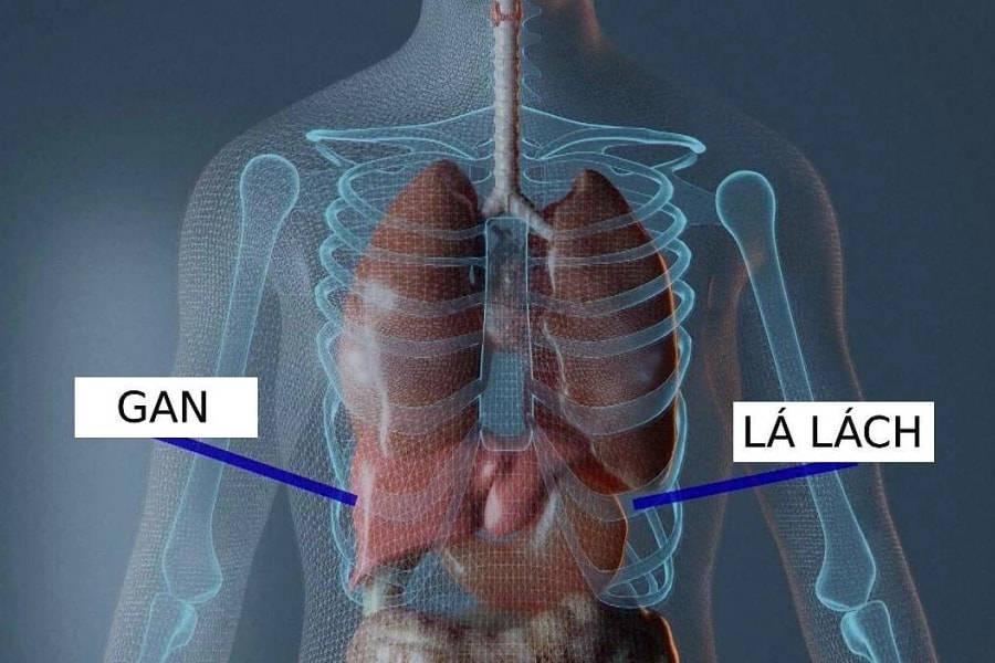 Bác sĩ Mỹ bị truy tố vì cắt nhầm nội tạng khiến bệnh nhân tử vong